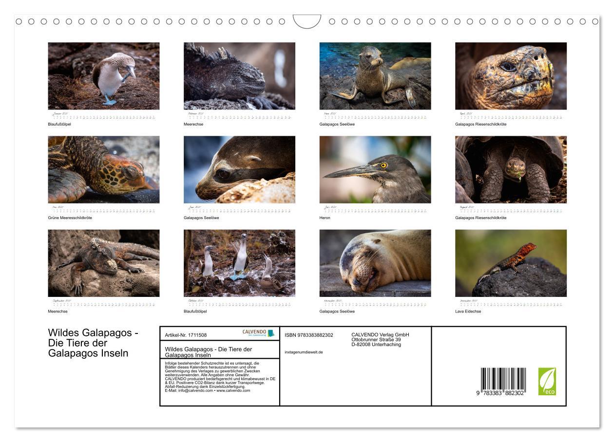 Bild: 9783383882302 | Wildes Galapagos - Die Tiere der Galapagos Inseln (Wandkalender...