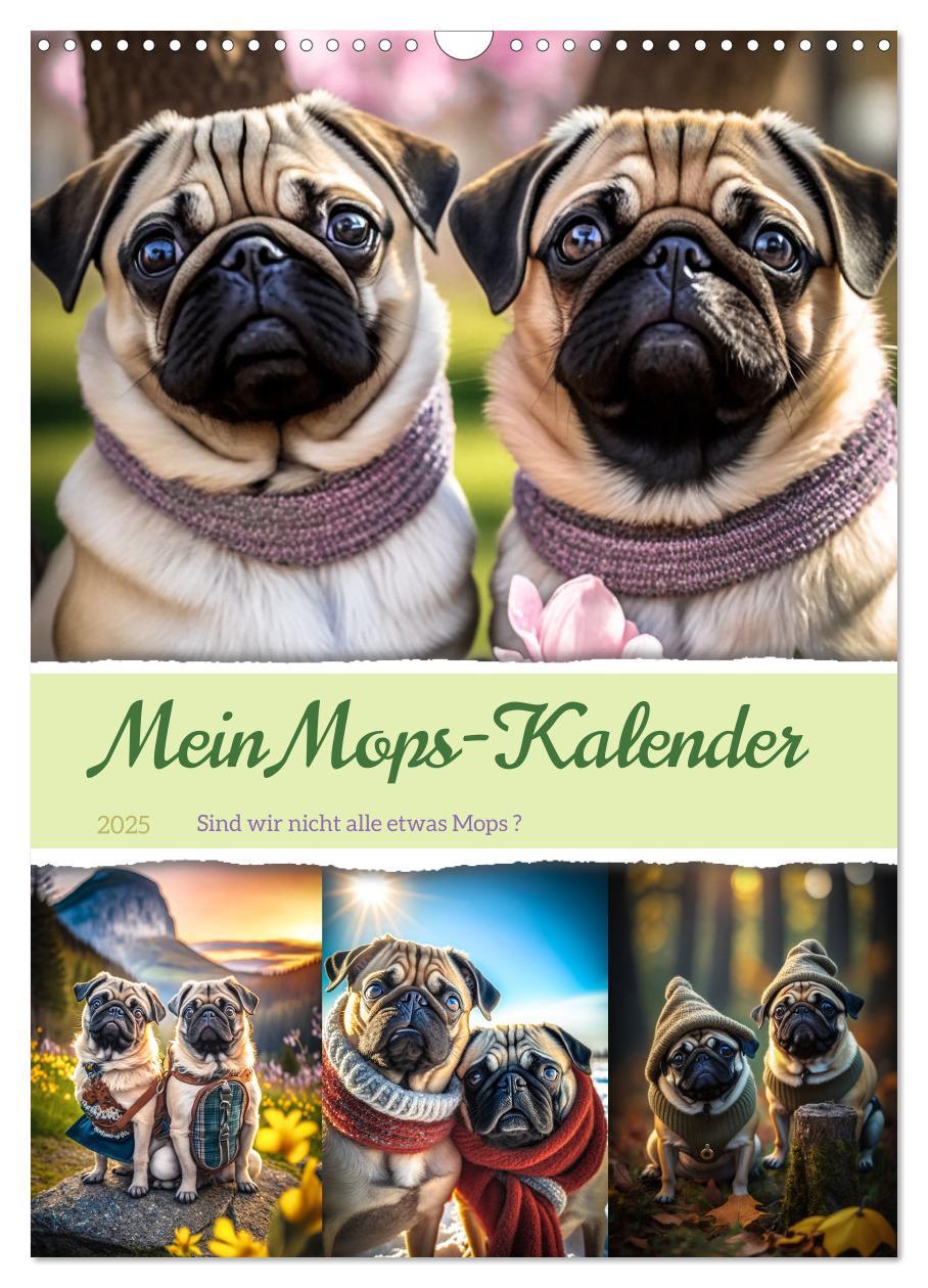 Cover: 9783435875146 | Mein Mops-Kalender (Wandkalender 2025 DIN A3 hoch), CALVENDO...