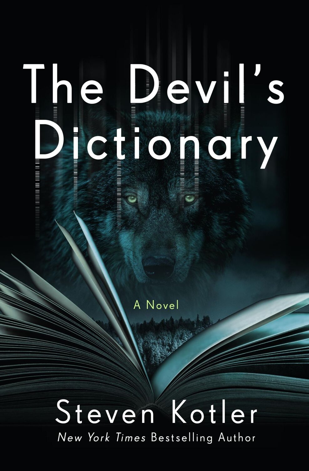 Cover: 9781250202093 | The Devil's Dictionary | Steven Kotler | Buch | Englisch | 2022