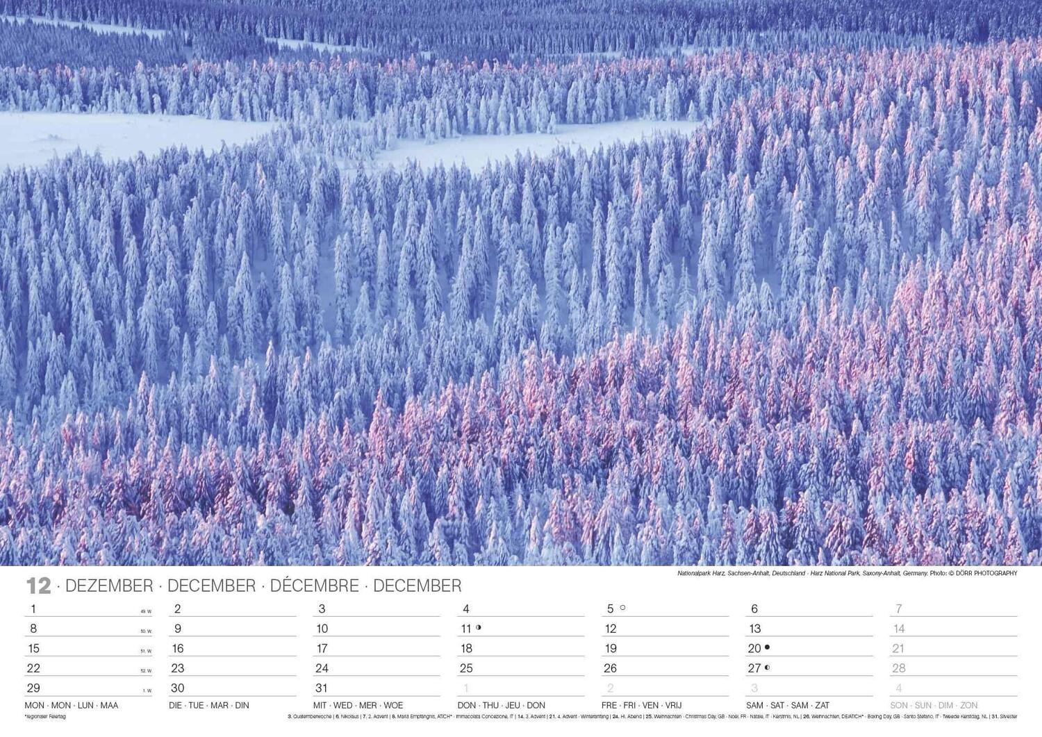 Bild: 4002725994271 | Malerische Wälder 2025 - Wand-Kalender - 42x29,7 - Wald - Natur | 2025