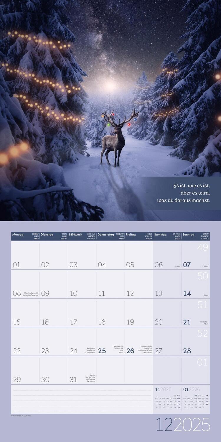 Bild: 9783838445335 | Alles wird gut! Kalender 2025 - 30x30 | Ackermann Kunstverlag | 28 S.