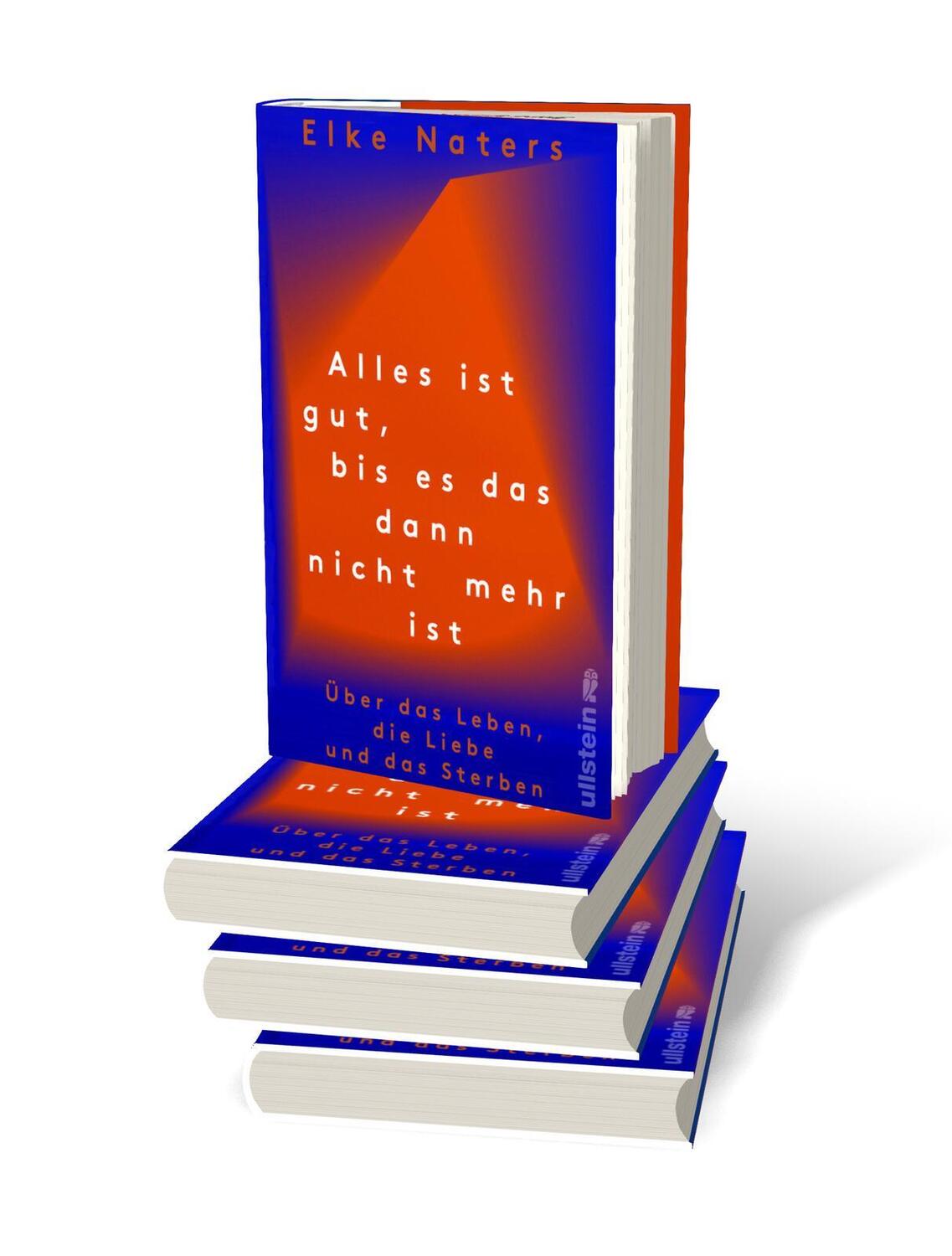 Bild: 9783550202407 | Alles ist gut, bis es das dann nicht mehr ist | Elke Naters | Buch