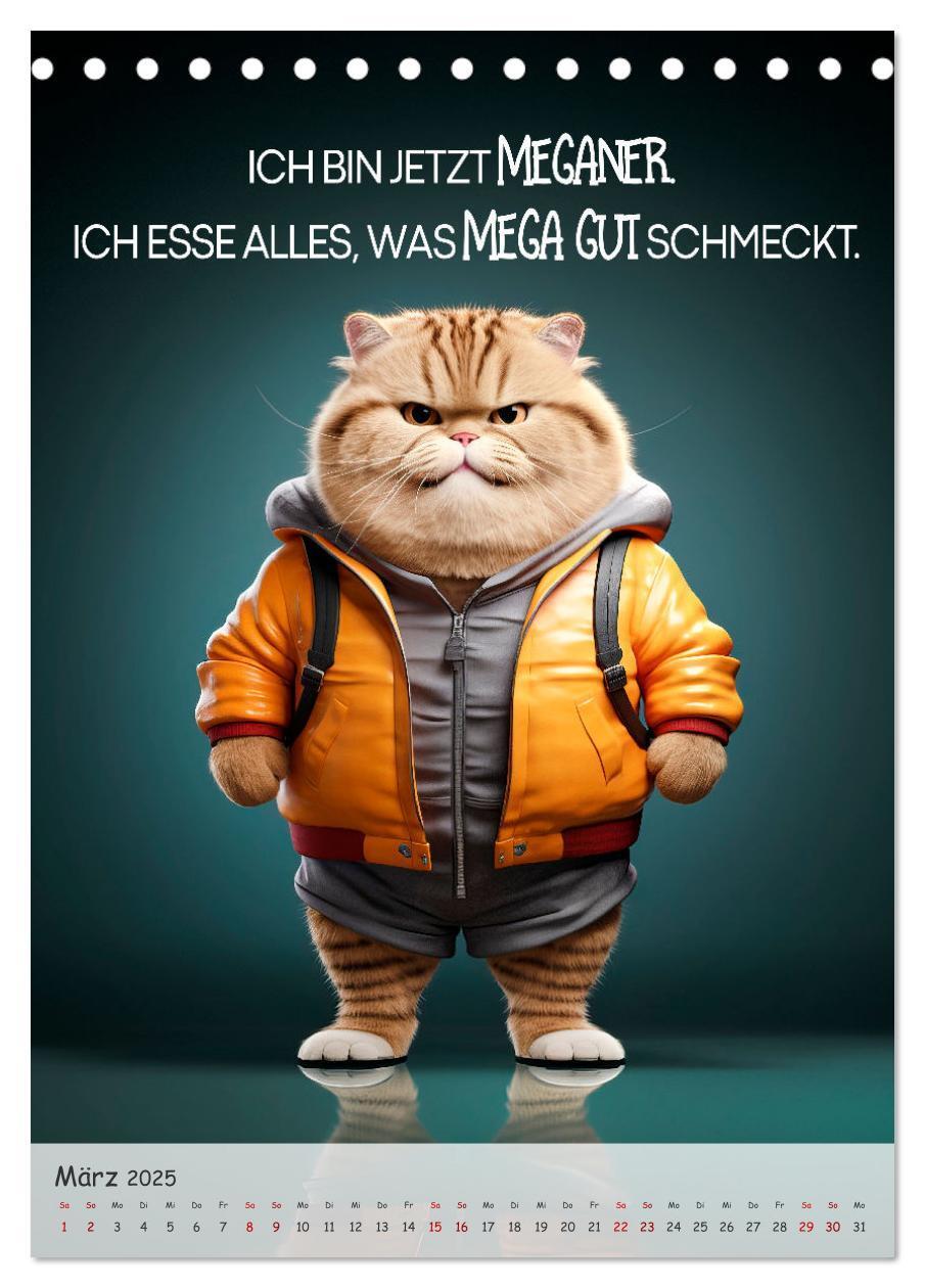 Bild: 9783383771507 | COOLE KATZEN Sprücheklopfer (Tischkalender 2025 DIN A5 hoch),...