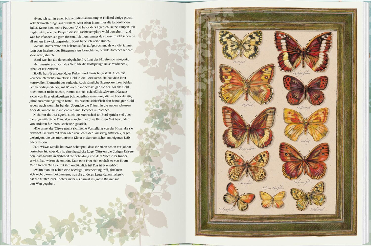 Bild: 9783836961394 | Maria Sibylla Merian | Maja Nielsen | Buch | 64 S. | Deutsch | 2022