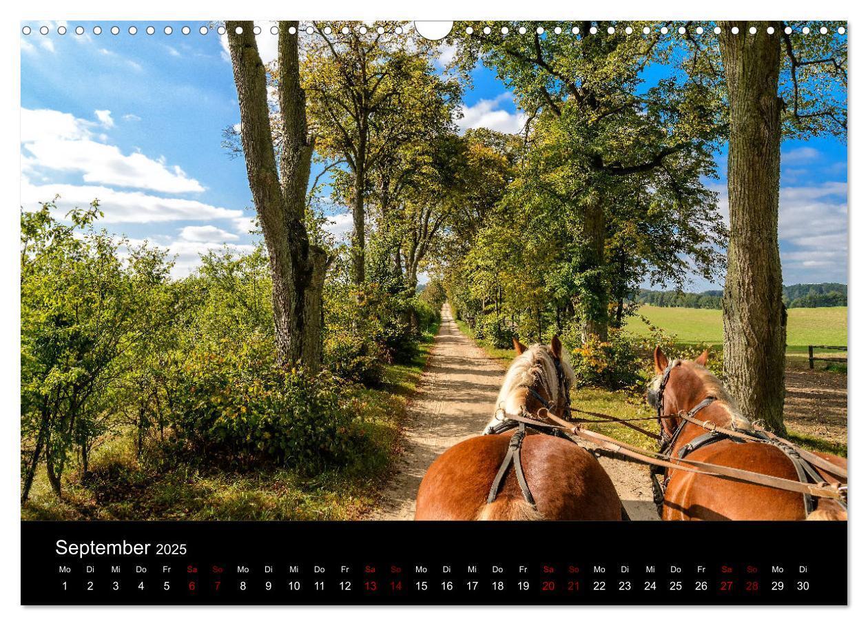 Bild: 9783435389483 | Polen - Reise durch unser schönes Nachbarland (Wandkalender 2025...