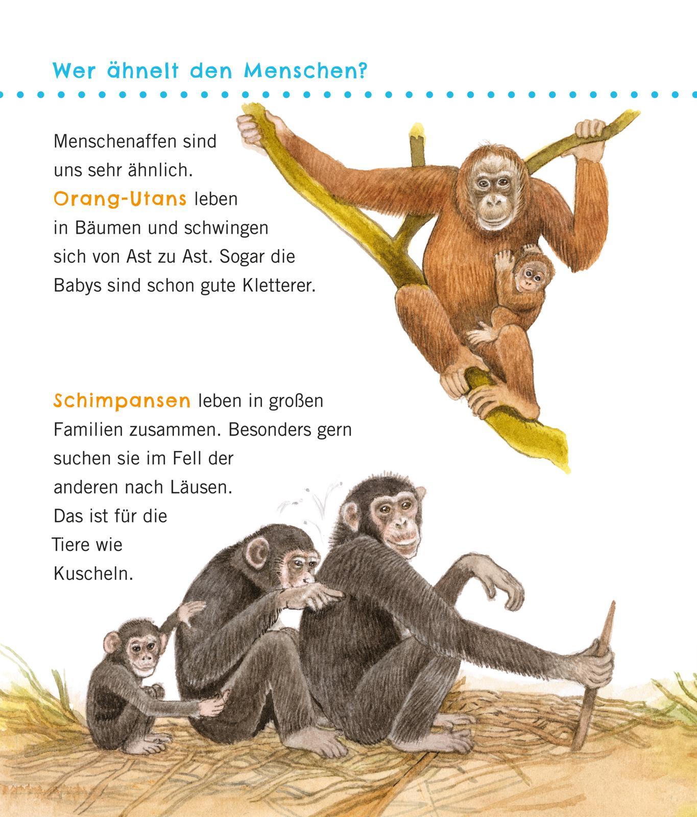 Bild: 9783551036100 | Unkaputtbar: Erstes Wissen: Große Tiere | Petra Klose | Taschenbuch