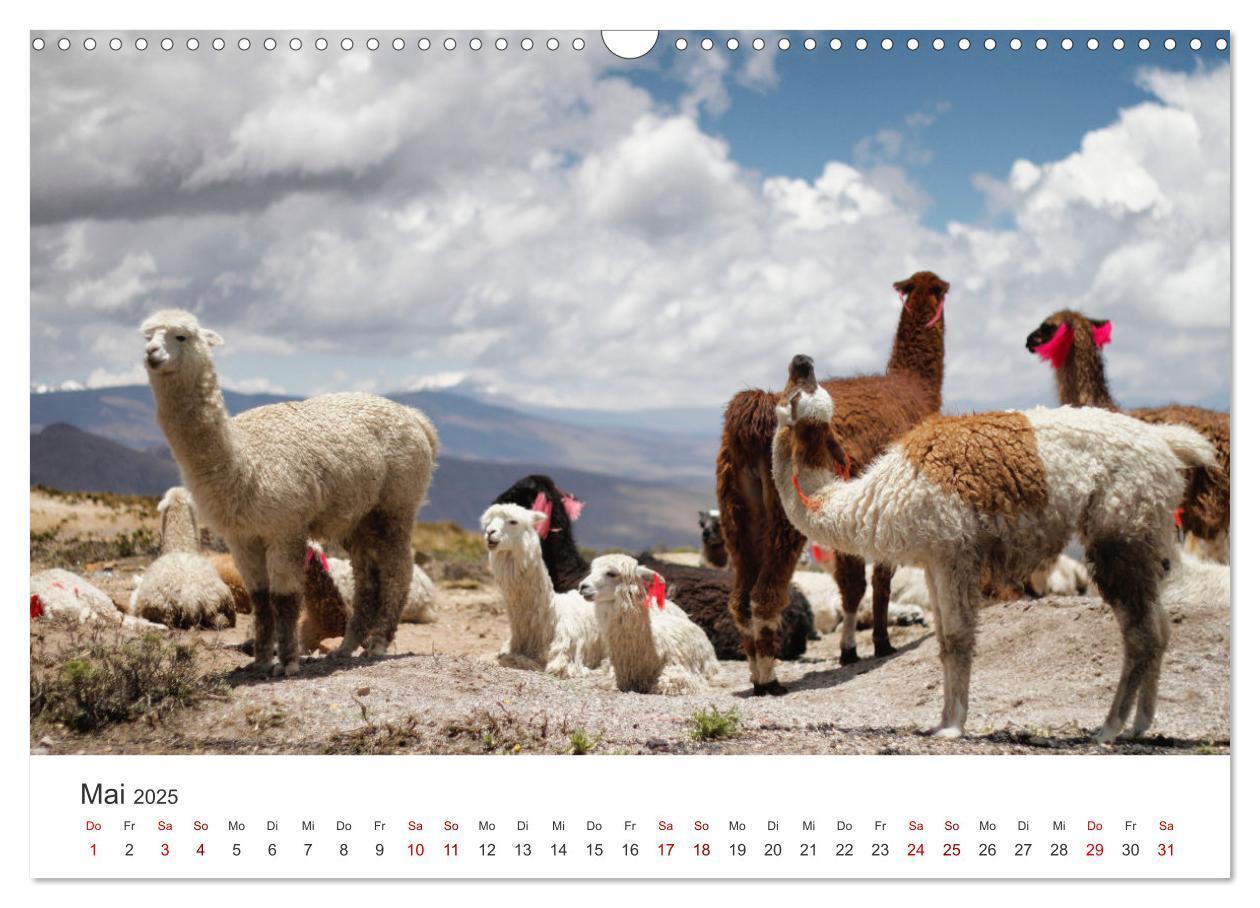 Bild: 9783435003693 | Peru - Das einzigartige Land der Inkas. (Wandkalender 2025 DIN A3...