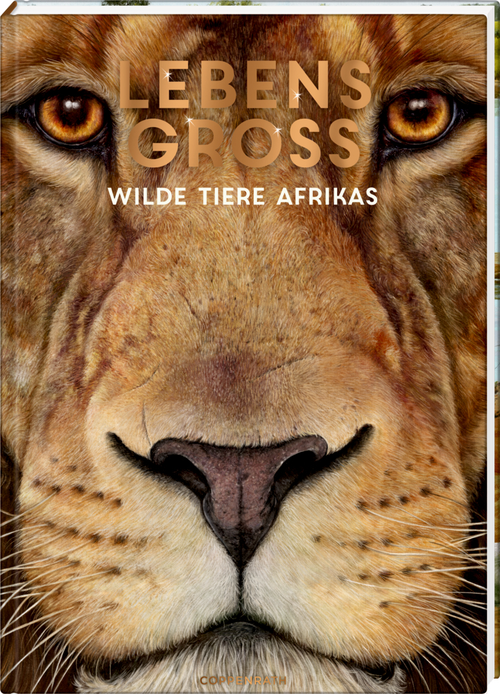 Cover: 9783649637905 | Lebensgroß | Wilde Tiere Afrikas | Holger Haag | Buch | 56 S. | 2021