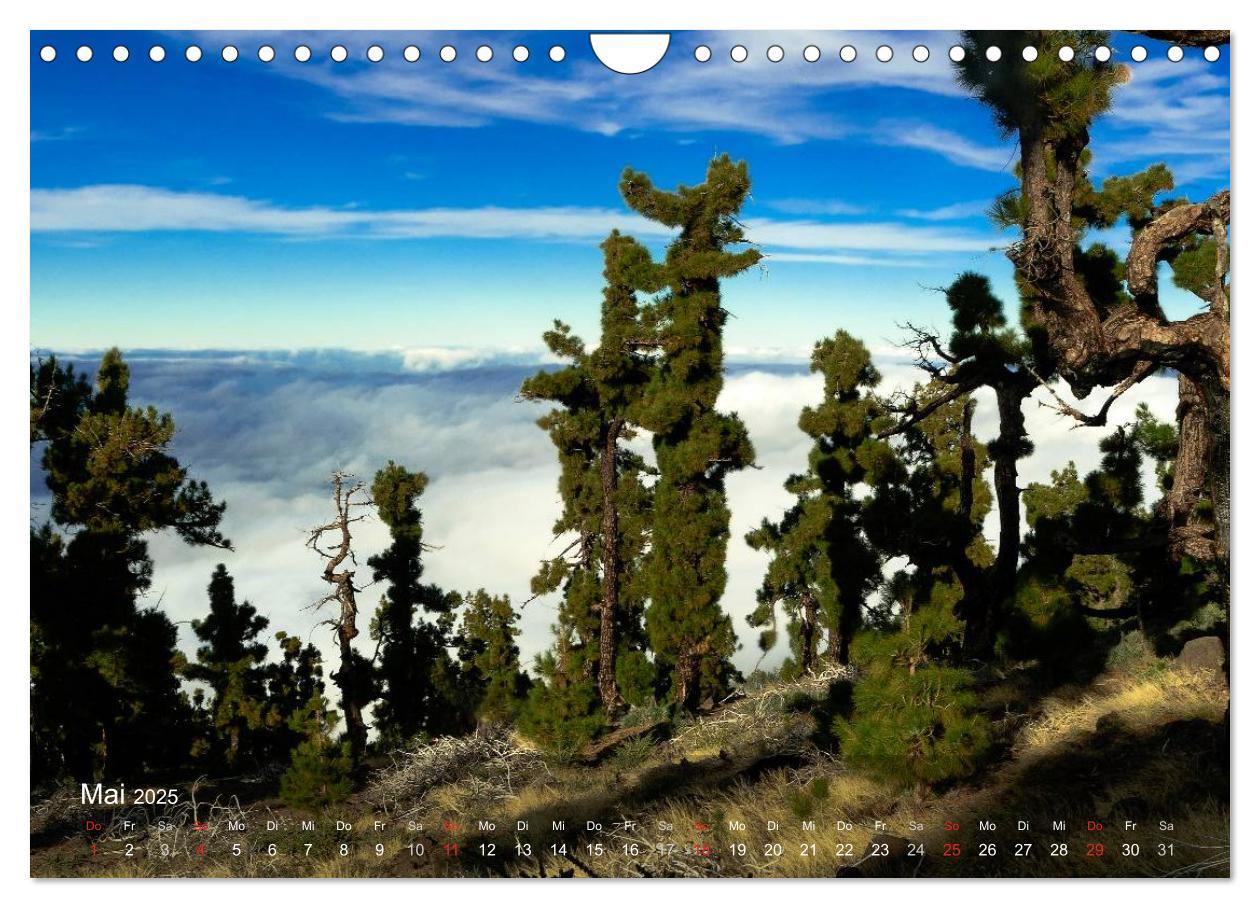 Bild: 9783435741212 | La Palma (Wandkalender 2025 DIN A4 quer), CALVENDO Monatskalender