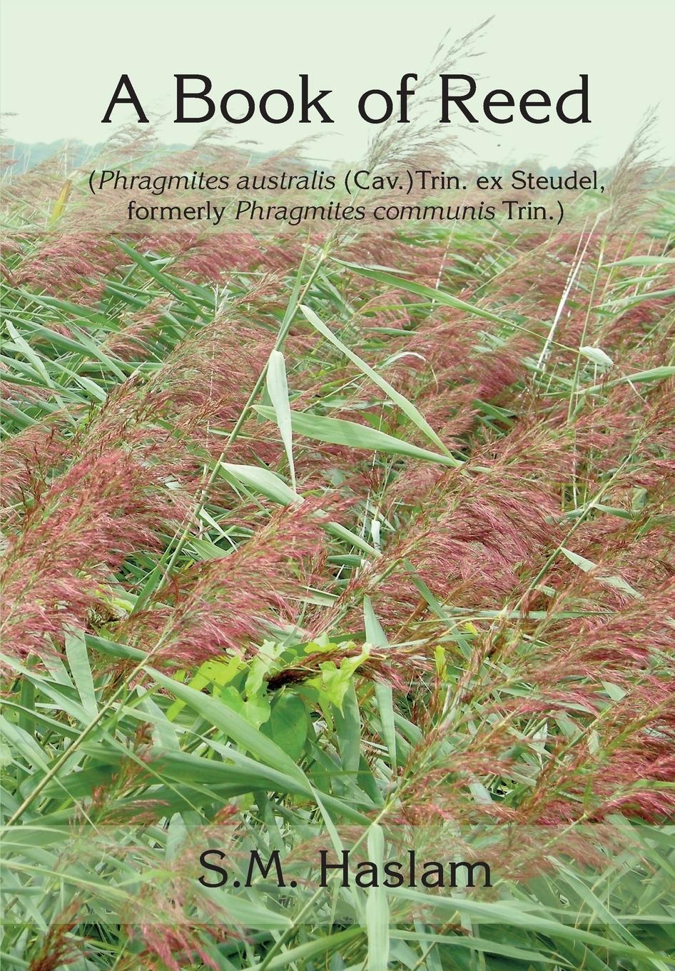 Cover: 9781916878105 | A BOOK OF REED (Phragmites australis (Cav.) Trin. ex Steudel,...