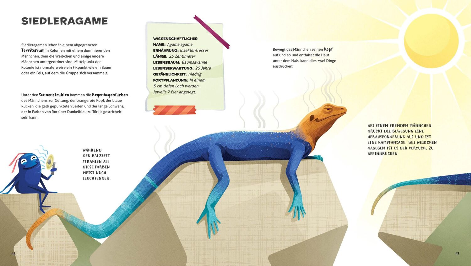 Bild: 9788863125030 | Besonders und wunderbar: Reptilien | National Geographic Kids | Banfi