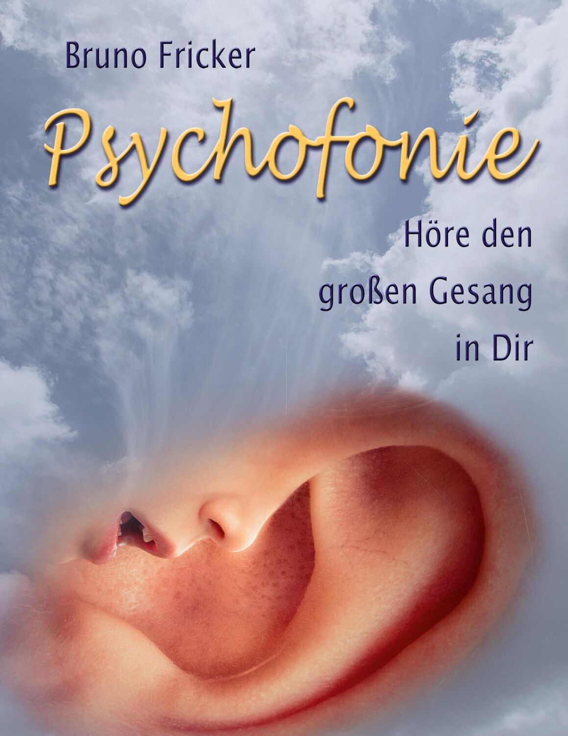 Cover: 9783751916875 | Psychofonie | Höre den grossen Gesang in Dir | Bruno Fricker | Buch