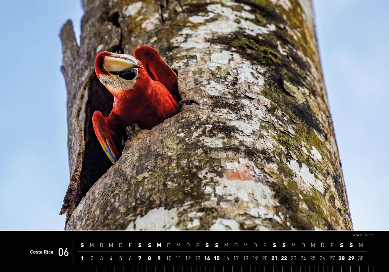 Bild: 9783968555362 | 360° Costa Rica Premiumkalender 2025 | Holger Leue | Kalender | 13 S.