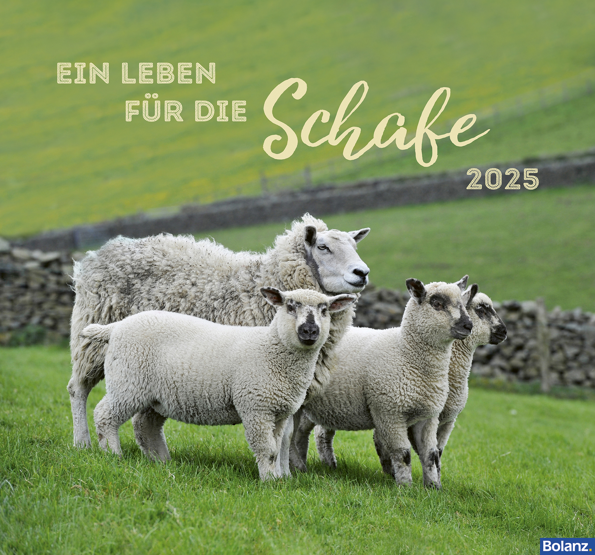 Cover: 9783866038295 | Ein Leben für die Schafe 2025 | Karl-Heinz Nill | Kalender | 13 S.