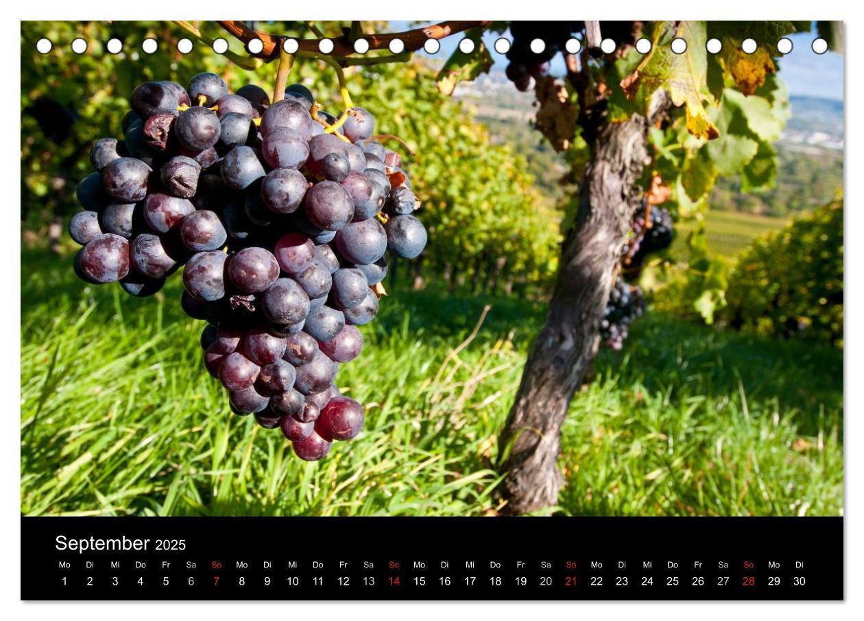 Bild: 9783435718405 | Weinberge im Remstal (Tischkalender 2025 DIN A5 quer), CALVENDO...