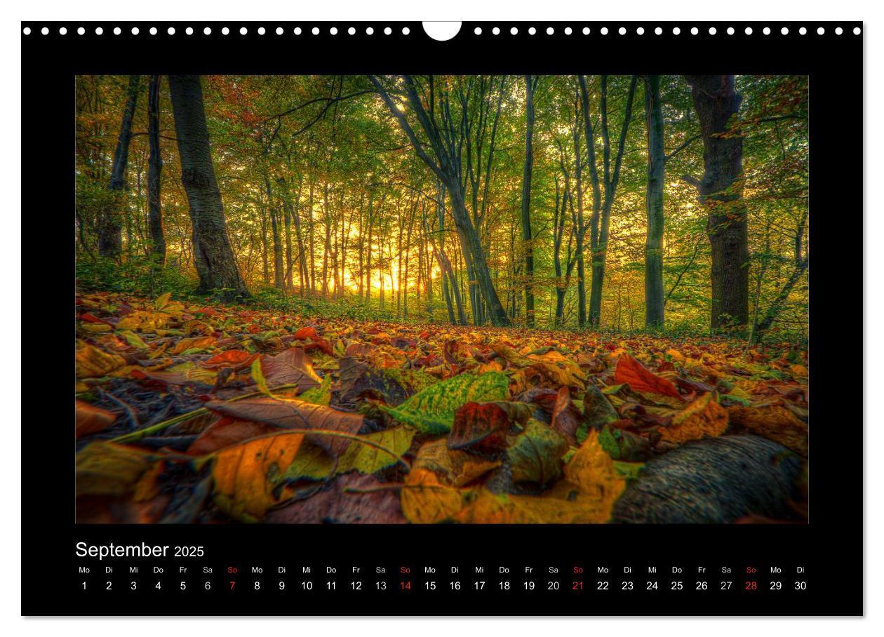 Bild: 9783435789740 | Landschaften im besonderen Licht (Wandkalender 2025 DIN A3 quer),...