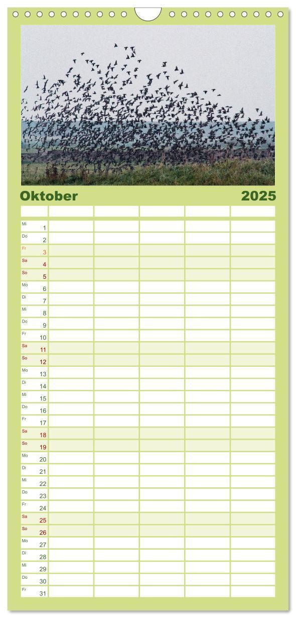 Bild: 9783457119723 | Familienplaner 2025 - Die Insel Römö mit 5 Spalten (Wandkalender,...