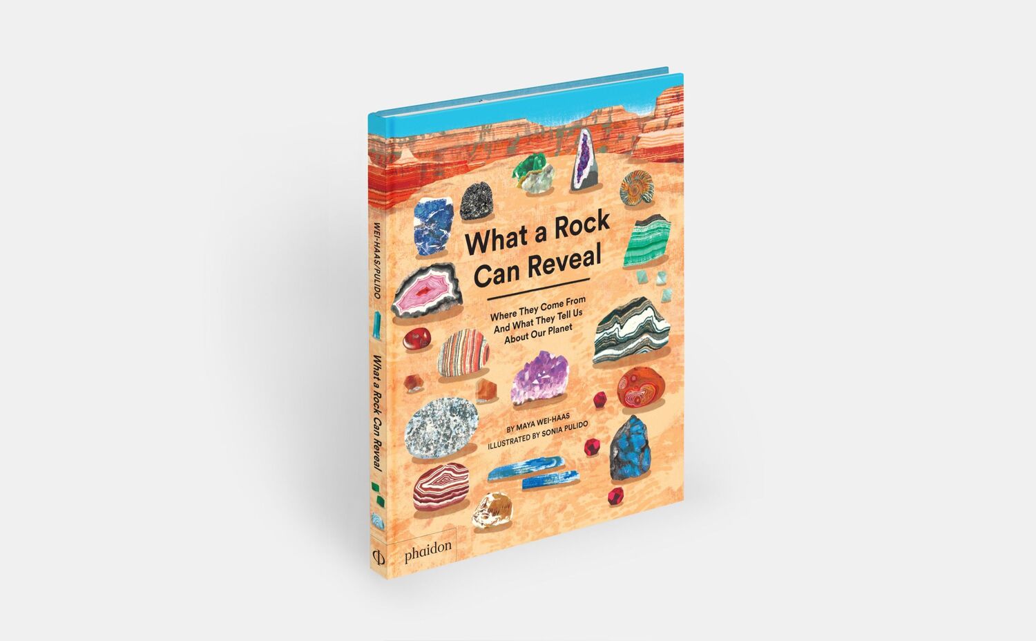 Bild: 9781838667894 | What a Rock Can Reveal | Maya Wei-Haas (u. a.) | Buch | Phaidon Press