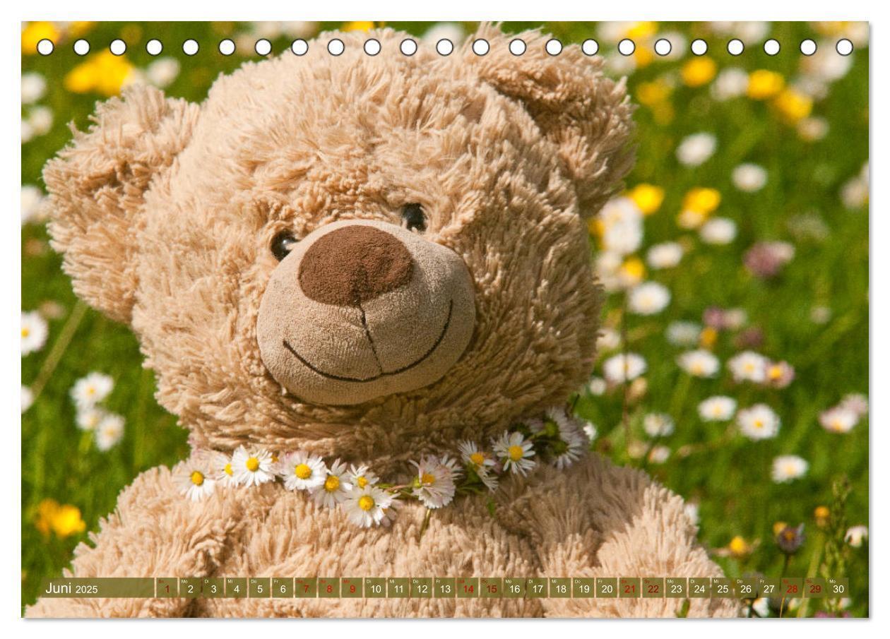 Bild: 9783435410842 | Kunterbunte Bärenwelt - Teddys (Tischkalender 2025 DIN A5 quer),...