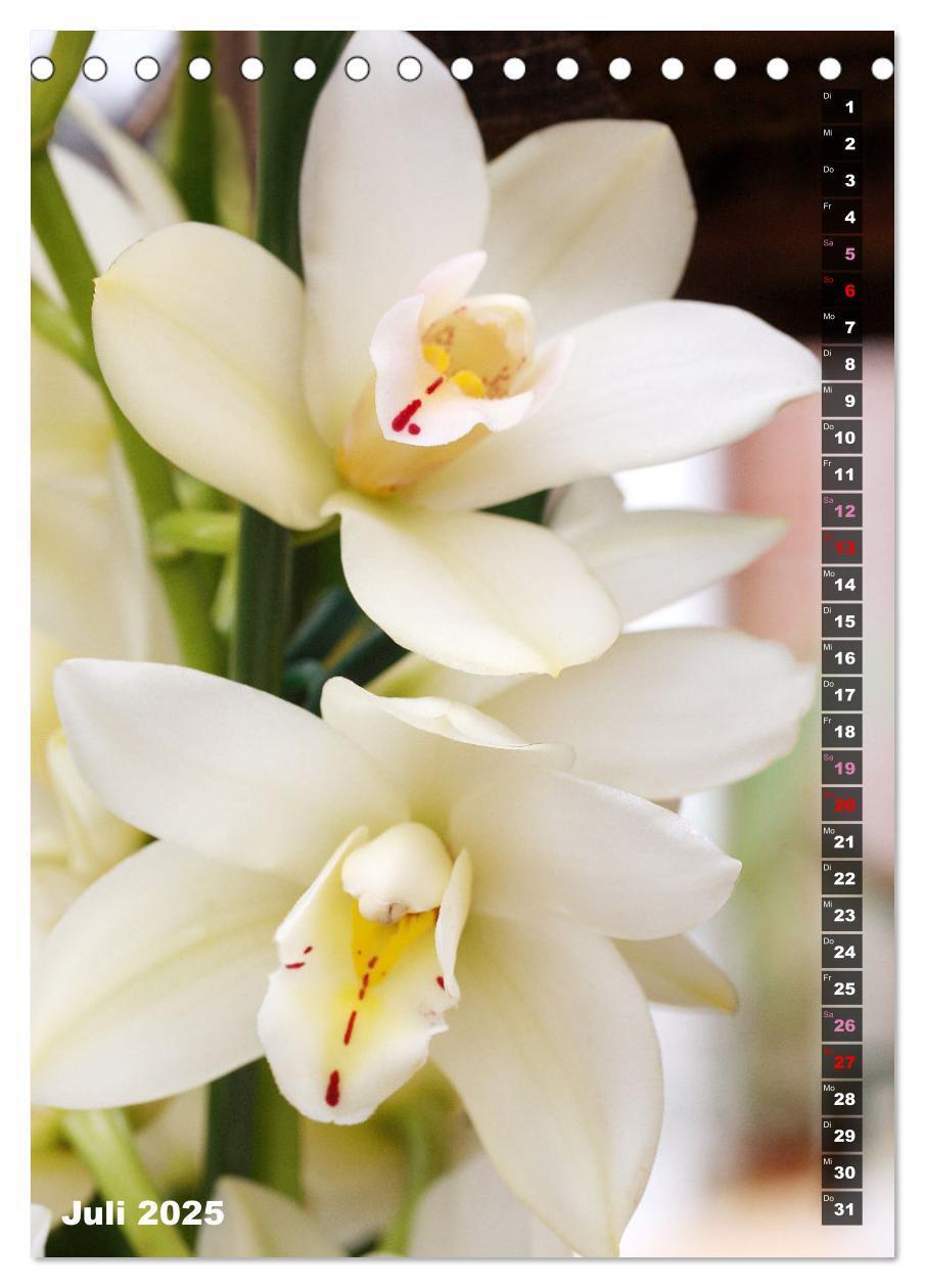 Bild: 9783435882557 | Freude an Orchideen (Tischkalender 2025 DIN A5 hoch), CALVENDO...