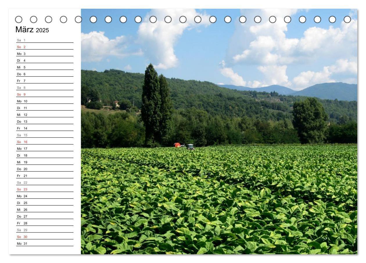 Bild: 9783435518784 | Camino di Assisi - Franziskusweg (Tischkalender 2025 DIN A5 quer),...