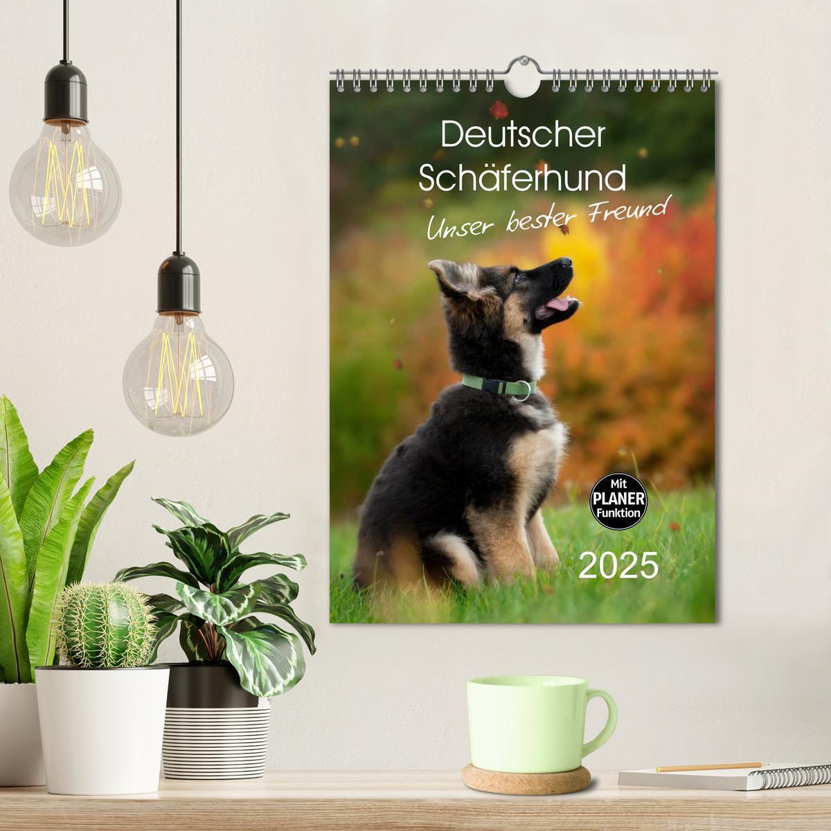 Bild: 9783457008874 | Deutscher Schäferhund - unser bester Freund (Wandkalender 2025 DIN...