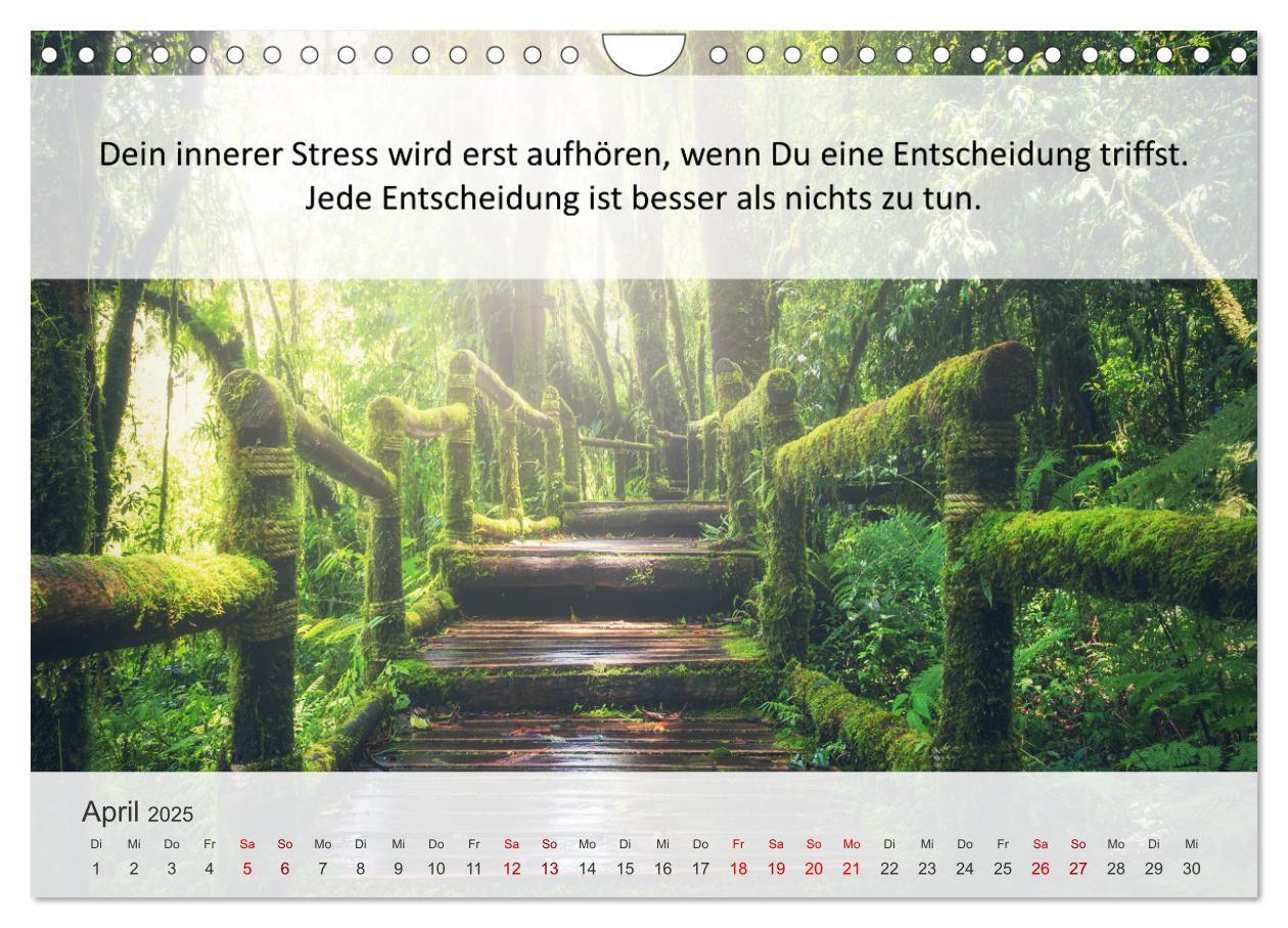 Bild: 9783435020232 | Motivationssprüche Erfolgsweg (Wandkalender 2025 DIN A4 quer),...