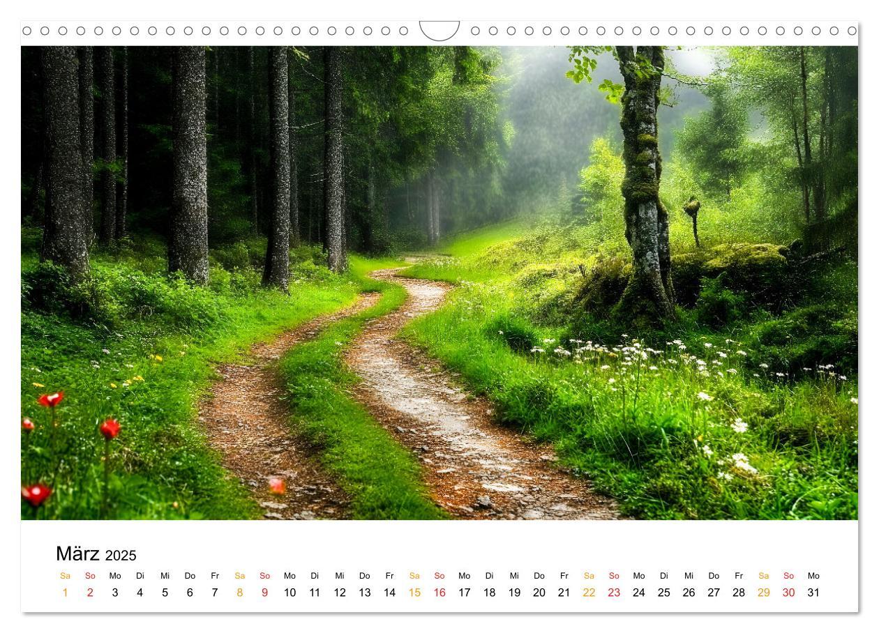 Bild: 9783457224786 | Mystik der Wälder (Wandkalender 2025 DIN A3 quer), CALVENDO...