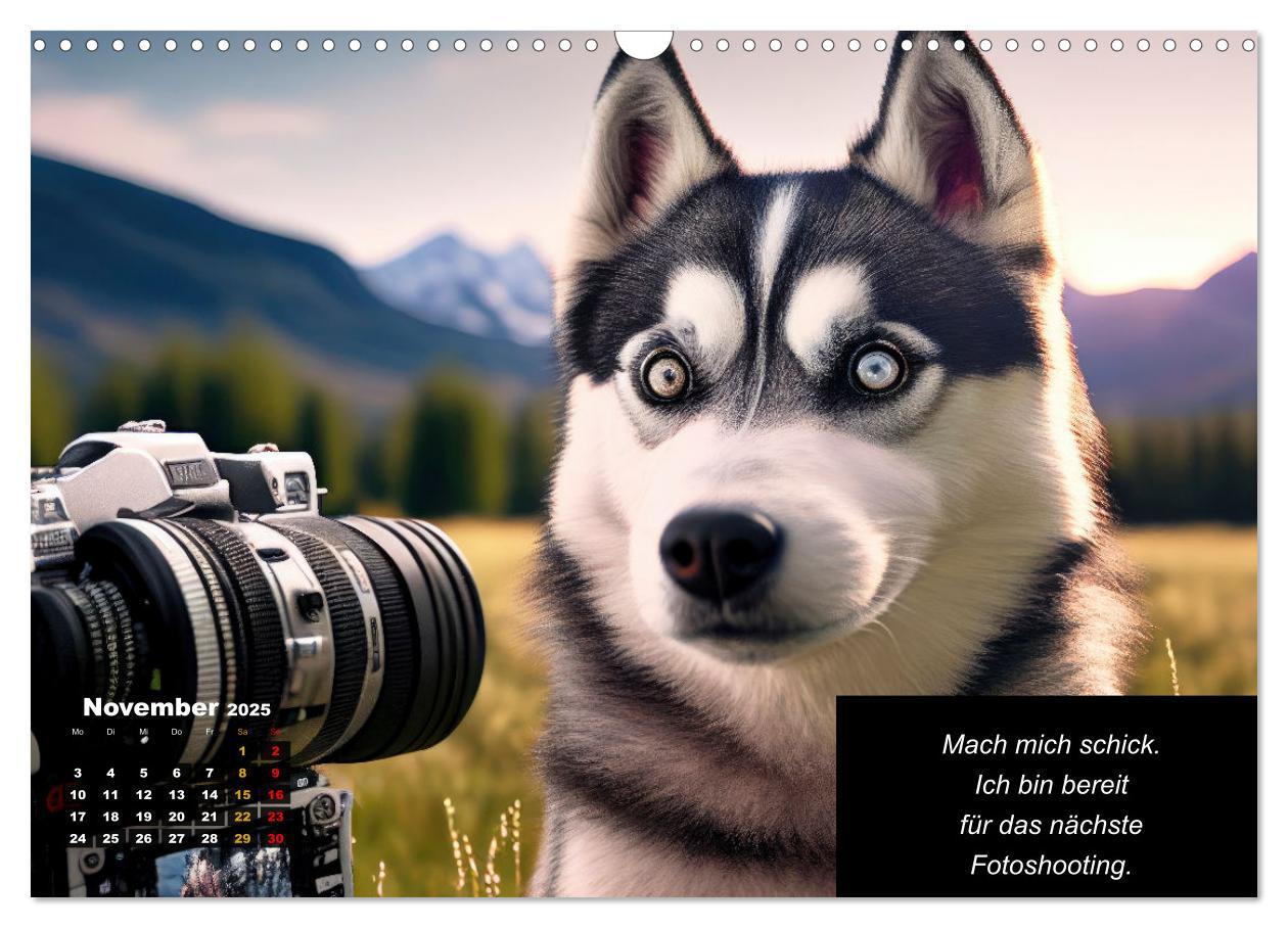 Bild: 9783435647200 | Der tierisch lustige Husky Kalender (Wandkalender 2025 DIN A3...