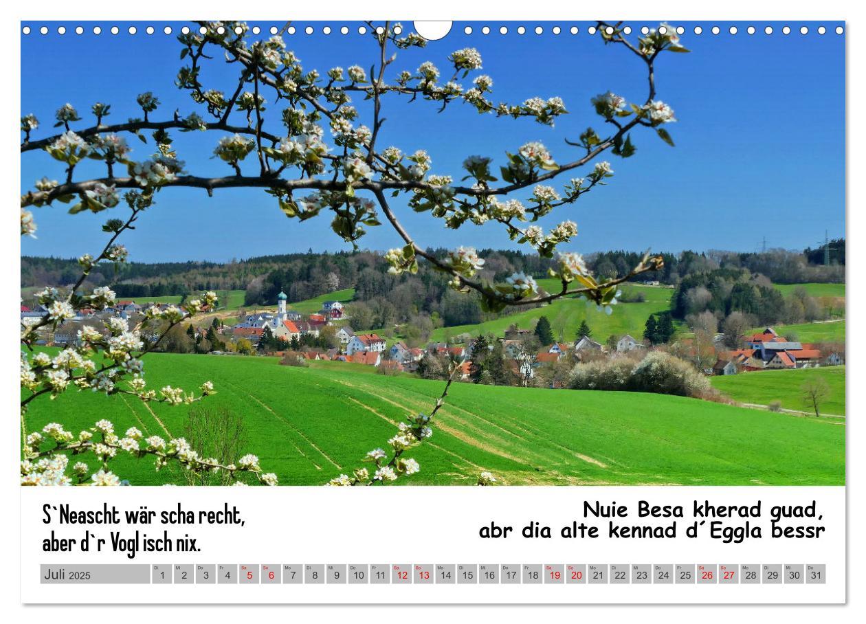 Bild: 9783383868900 | Schwäbische Sprichwörter 1 Wi ma hald so said! (Wandkalender 2025...