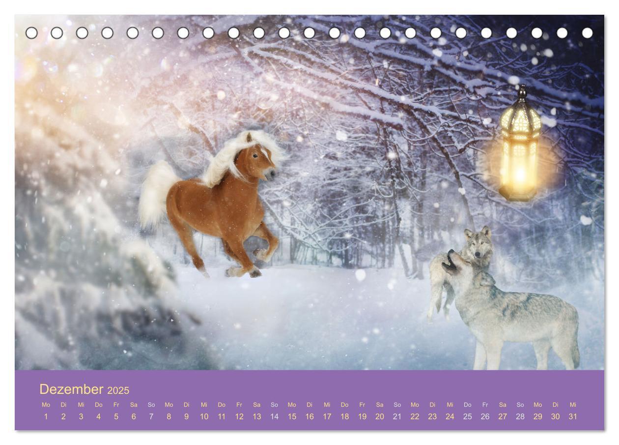 Bild: 9783435061044 | Von der Magie der Pferde (Tischkalender 2025 DIN A5 quer), CALVENDO...