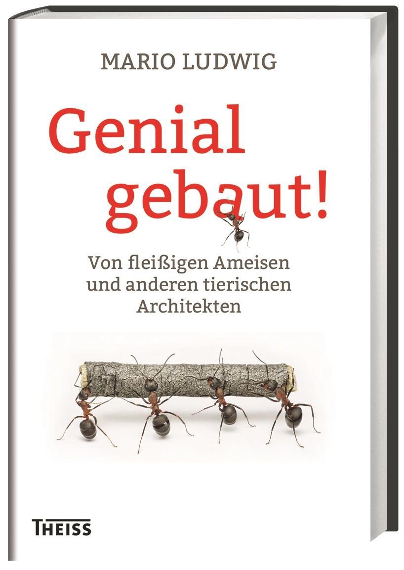 Cover: 9783806231458 | Genial gebaut! | Mario Ludwig | Buch | 240 S. | Deutsch | 2015