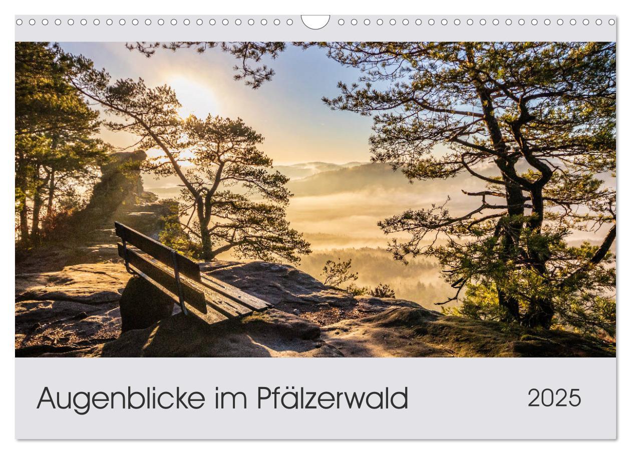 Cover: 9783435216154 | Augenblicke im Pfälzerwald (Wandkalender 2025 DIN A3 quer),...