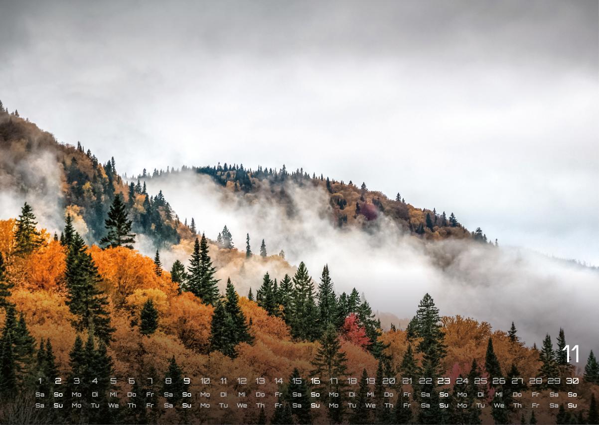 Bild: 9783986734480 | Wald - Erholung für Mensch und Tier - 2025 - Kalender DIN A3 | 15 S.