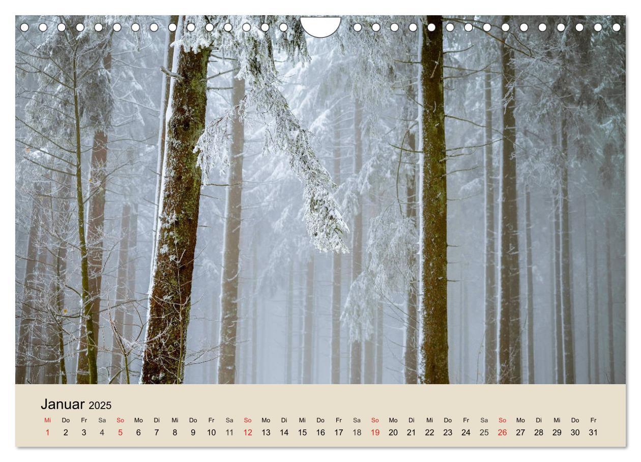 Bild: 9783435318612 | Der Wald. Durch zauberhafte Waldlandschaften (Wandkalender 2025 DIN...