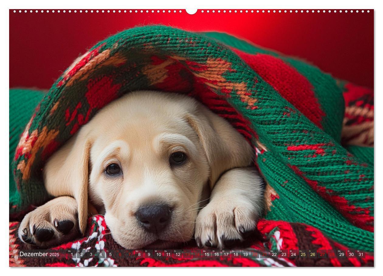 Bild: 9783435742592 | Welpen im Kuschelmodus - Herzerwärmende kleine Labrador Retriever...