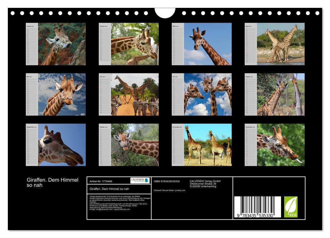 Bild: 9783435535330 | Giraffen. Dem Himmel so nah (Wandkalender 2025 DIN A4 quer),...