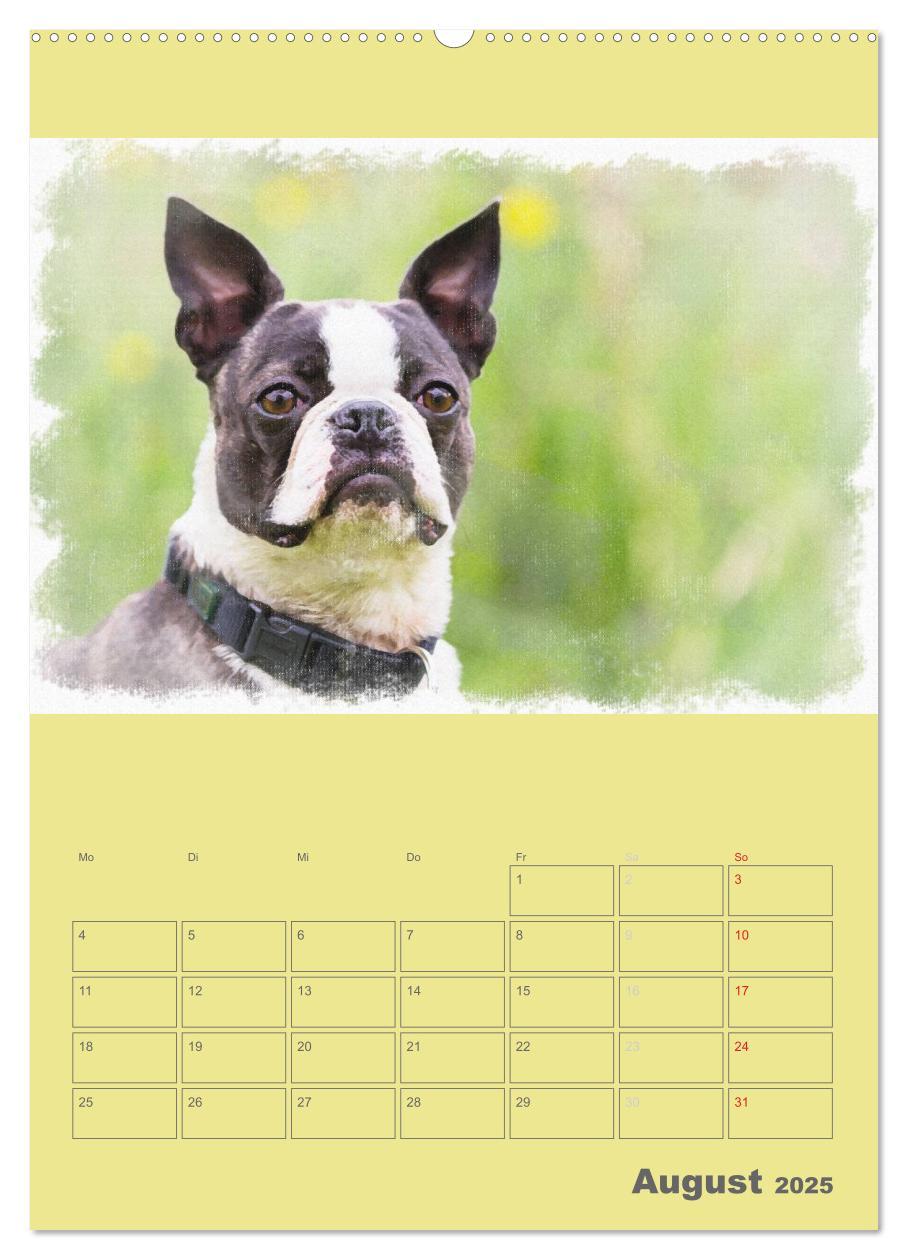 Bild: 9783457055656 | Hunde in Aquarell - Jahresplaner (Wandkalender 2025 DIN A2 hoch),...