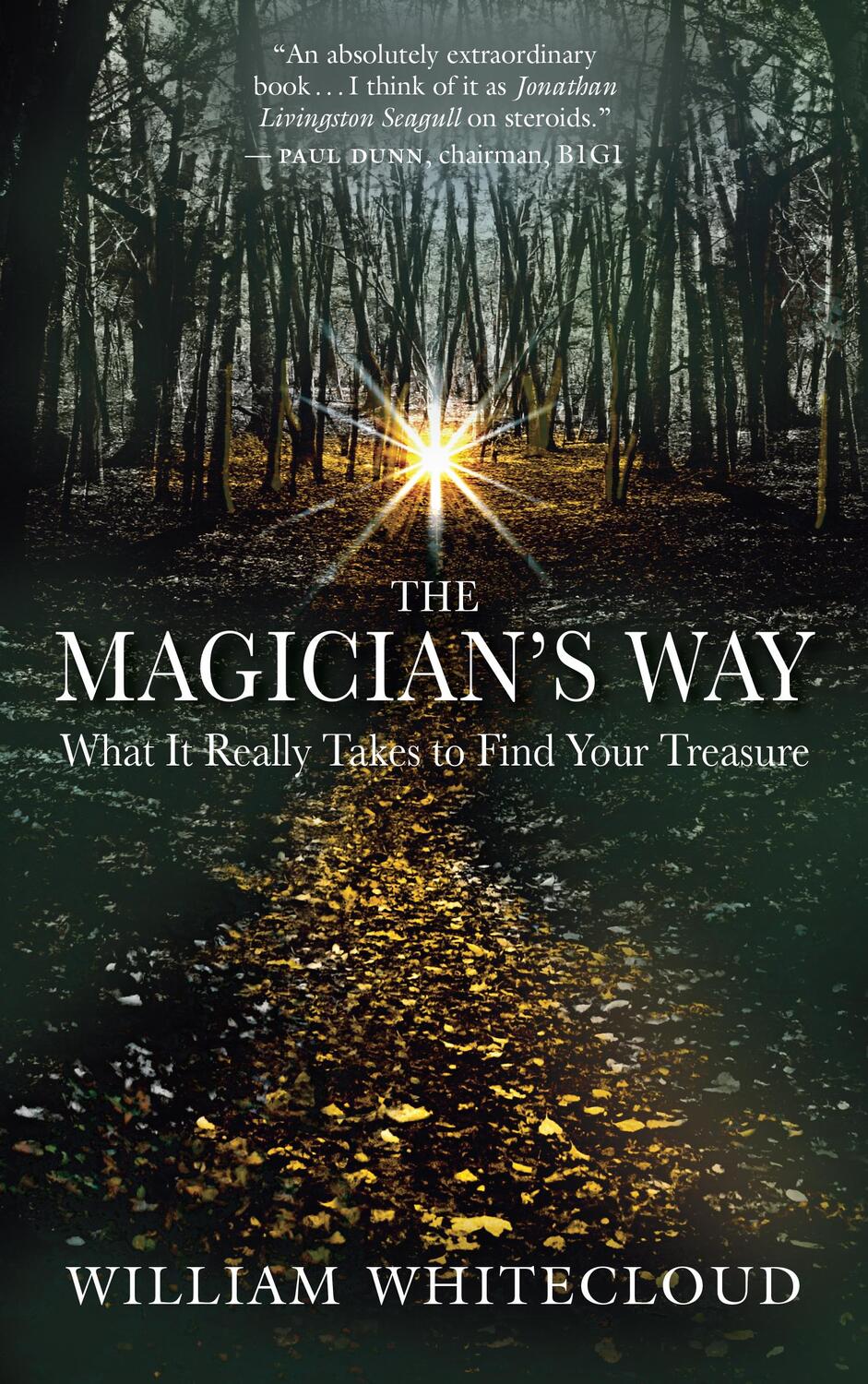 Cover: 9781577316879 | The Magician's Way | What It Really Takes to Find Your Treasure | Buch