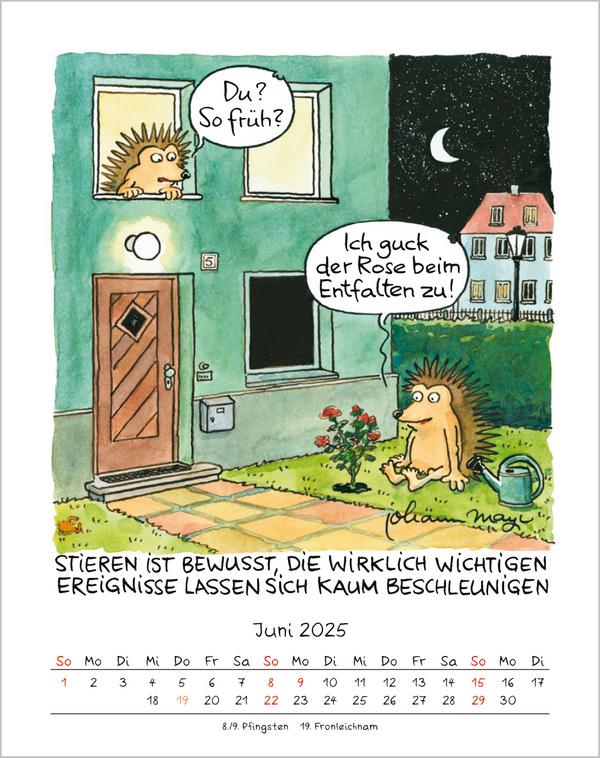 Bild: 9783731876632 | Stier 2025 | Verlag Korsch | Kalender | Spiralbindung | 13 S. | 2025