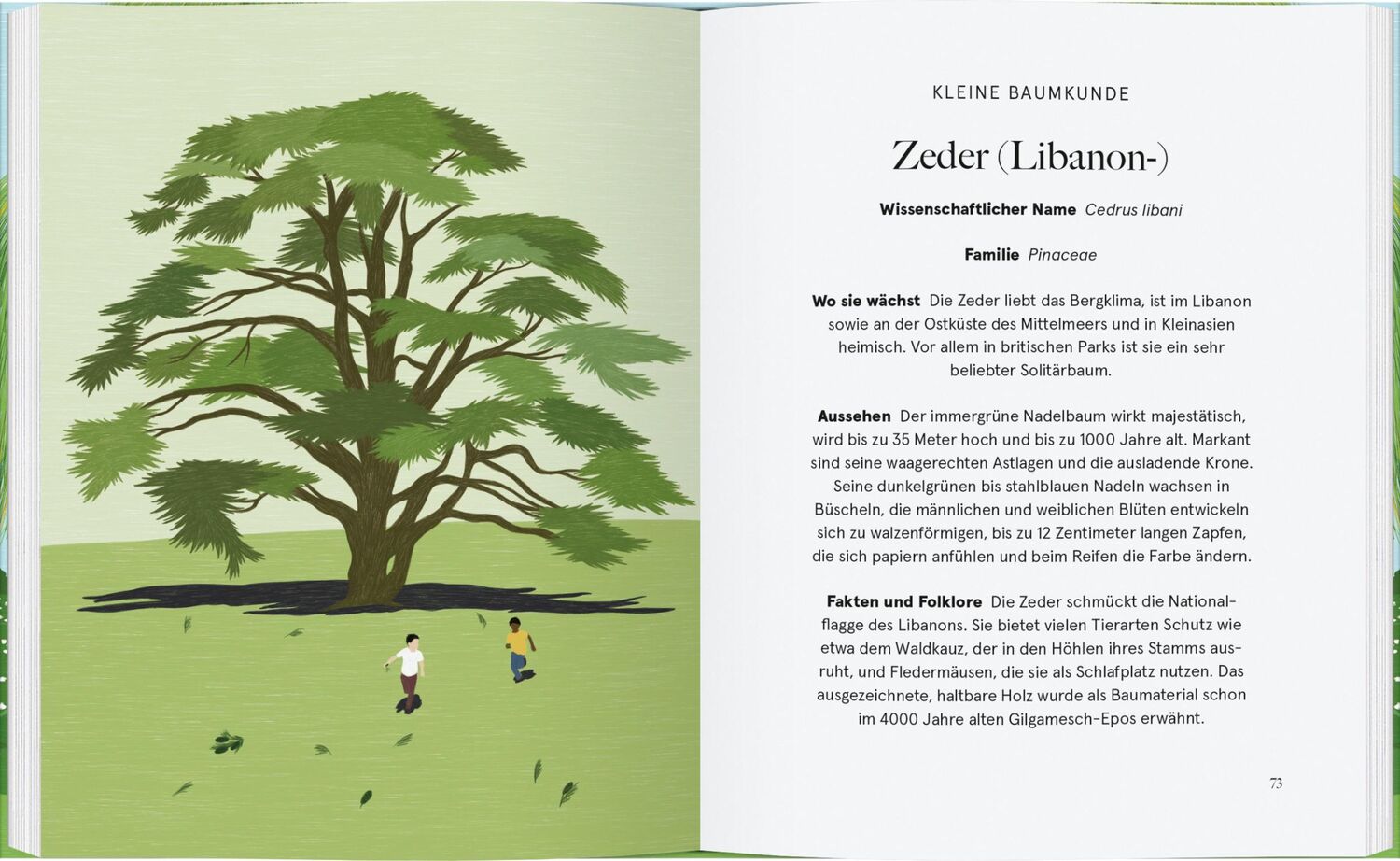 Bild: 9783836921794 | Be More Tree | Was wir von Bäumen lernen können | Alison Davies | Buch