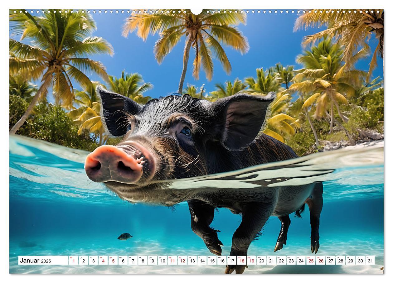 Bild: 9783383834738 | Schwimmende Schweine im Paradies (Wandkalender 2025 DIN A2 quer),...