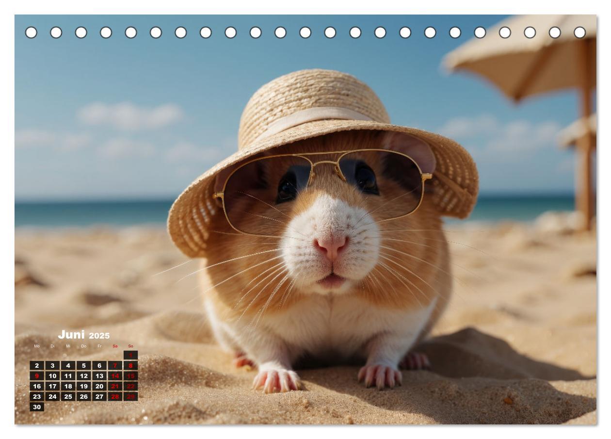 Bild: 9783383840357 | Hamstertage (Tischkalender 2025 DIN A5 quer), CALVENDO Monatskalender