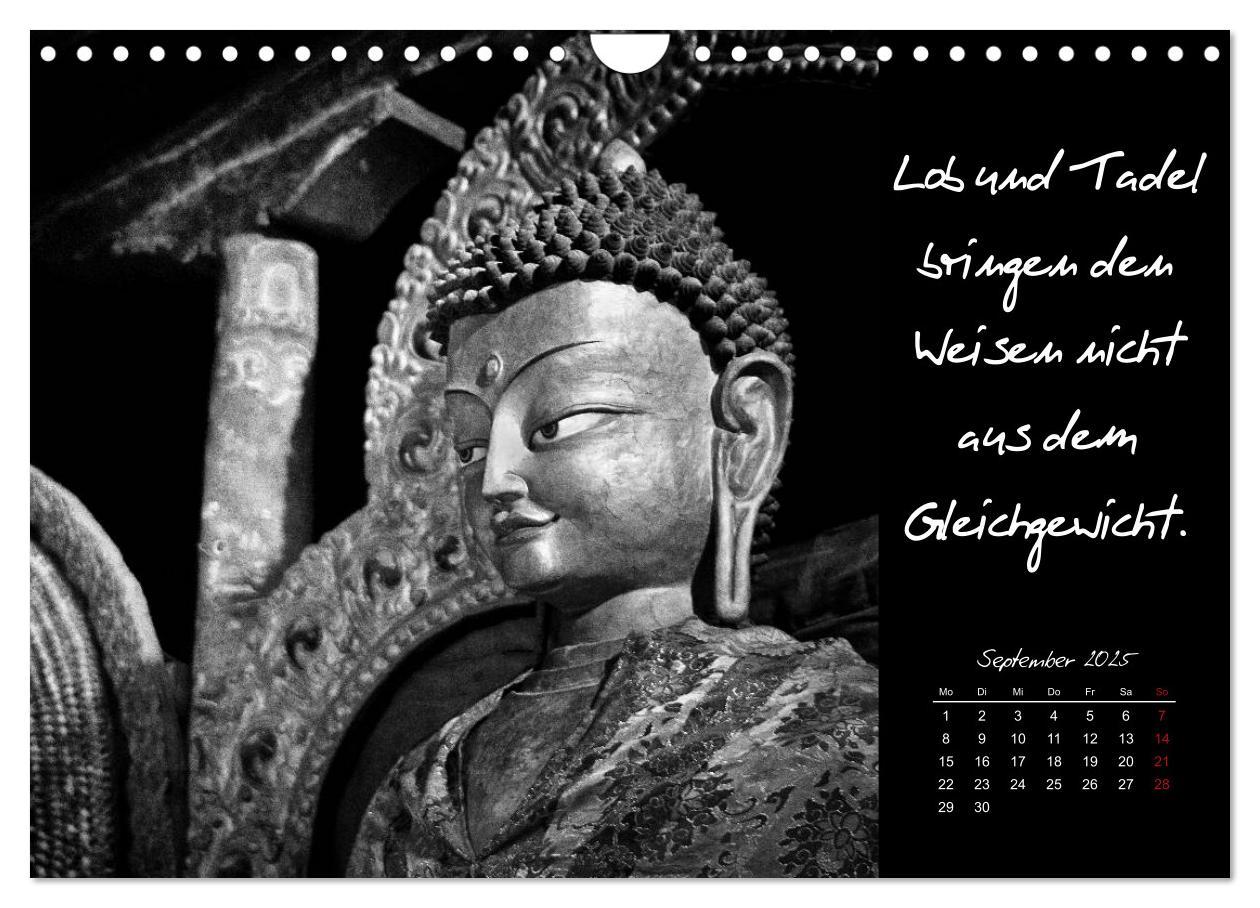 Bild: 9783435629305 | Worte des Buddha 2025 (Wandkalender 2025 DIN A4 quer), CALVENDO...