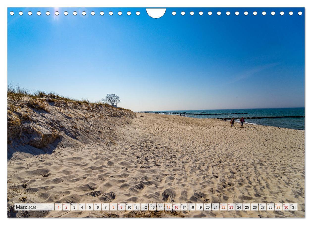 Bild: 9783435239184 | Ahrenshoop Impressionen (Wandkalender 2025 DIN A4 quer), CALVENDO...