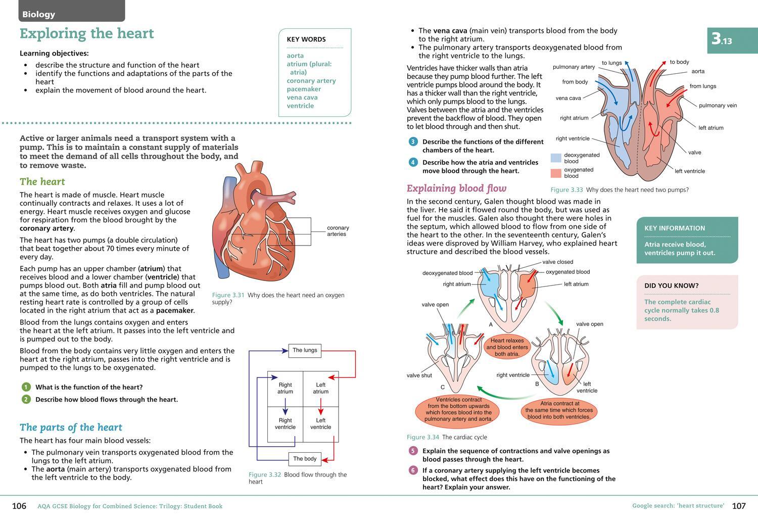 Bild: 9780008175047 | AQA GCSE Biology for Combined Science: Trilogy 9-1 Student Book | Buch