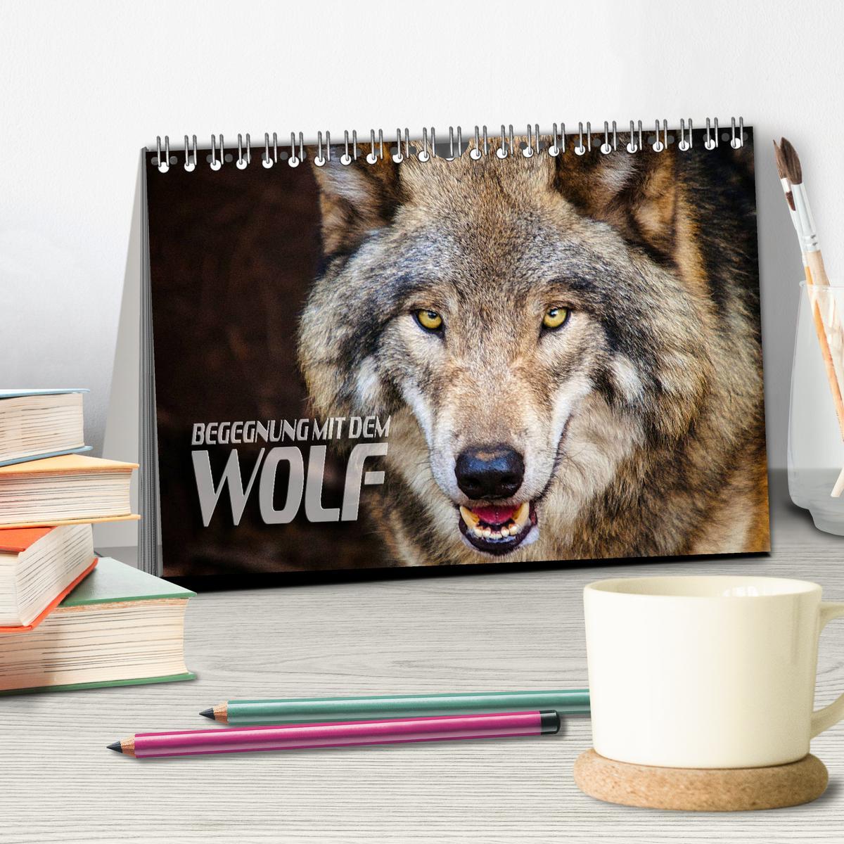 Bild: 9783435262892 | Begegnung mit dem Wolf (Tischkalender 2025 DIN A5 quer), CALVENDO...