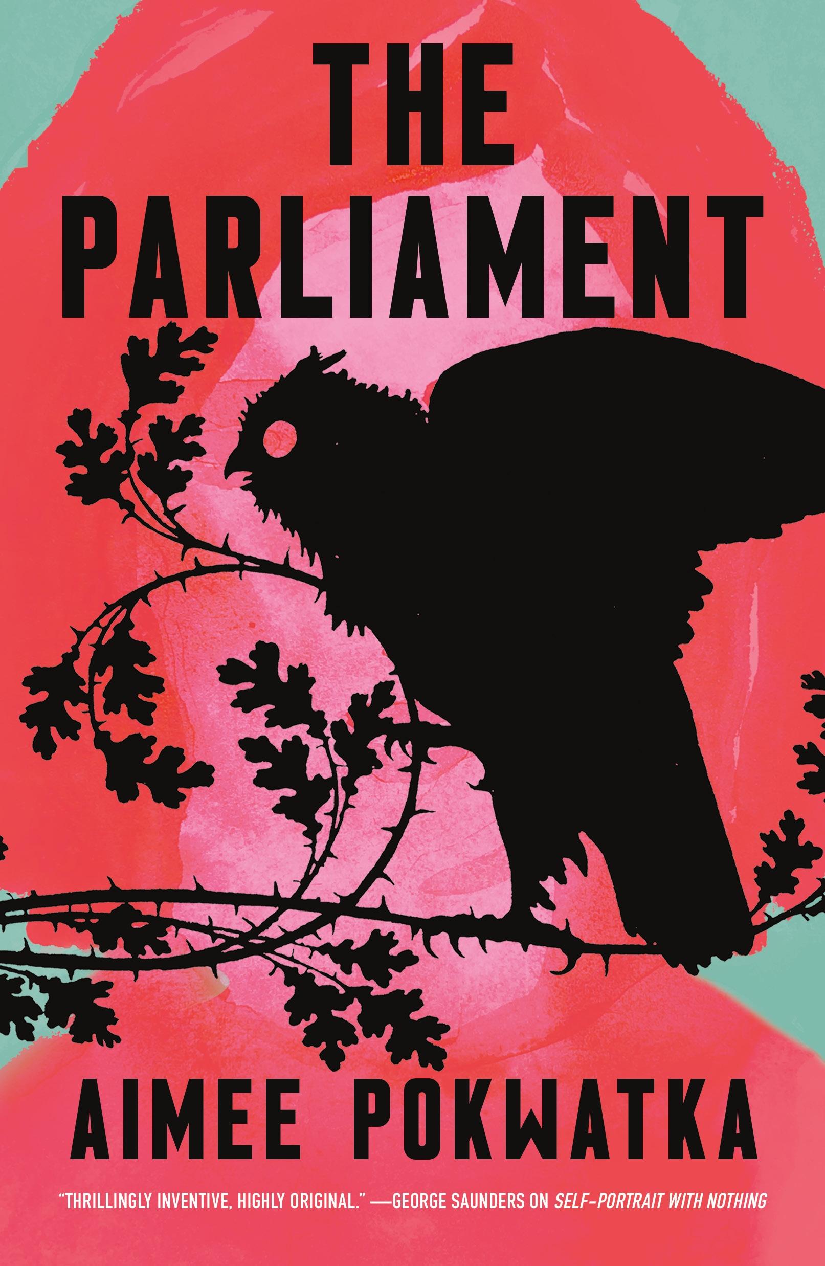 Cover: 9781250820990 | The Parliament | Aimee Pokwatka | Taschenbuch | Englisch | 2024