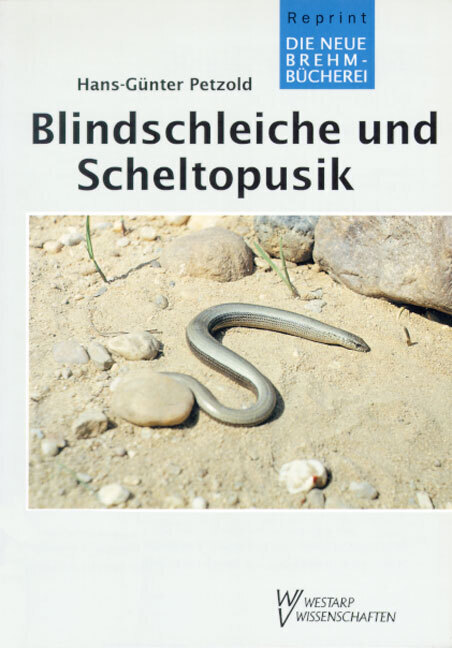 Cover: 9783894324735 | Blindschleiche und Scheltopusik | Die Familie Anguidae | Petzold