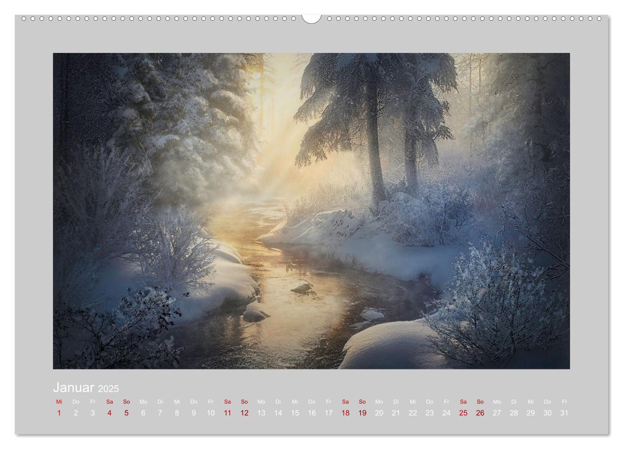 Bild: 9783383912801 | Wald der Märchen (Wandkalender 2025 DIN A2 quer), CALVENDO...